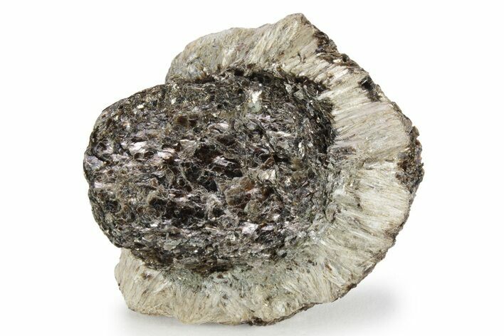 Fibrous Anthophyllite on Phlogopite (Hermanov Sphere) #239622